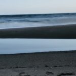 Minimal ocean shoreline with soft rolling waves – seascape photography by Layne Morgan