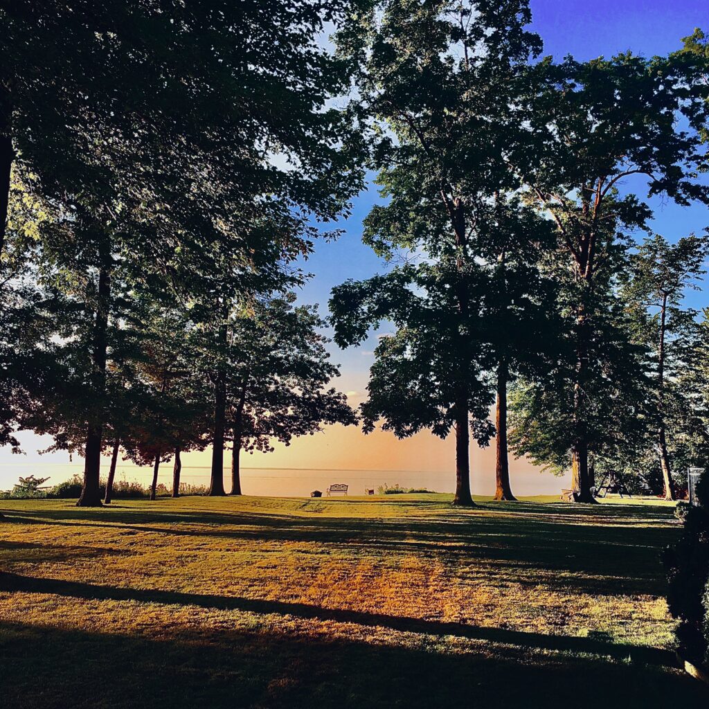 Sunlight filtering through trees and sky – fine art landscape photography by Layne Morgan