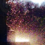 Layne Morgan fine art photography – sparkling sunlight reflections on water droplets