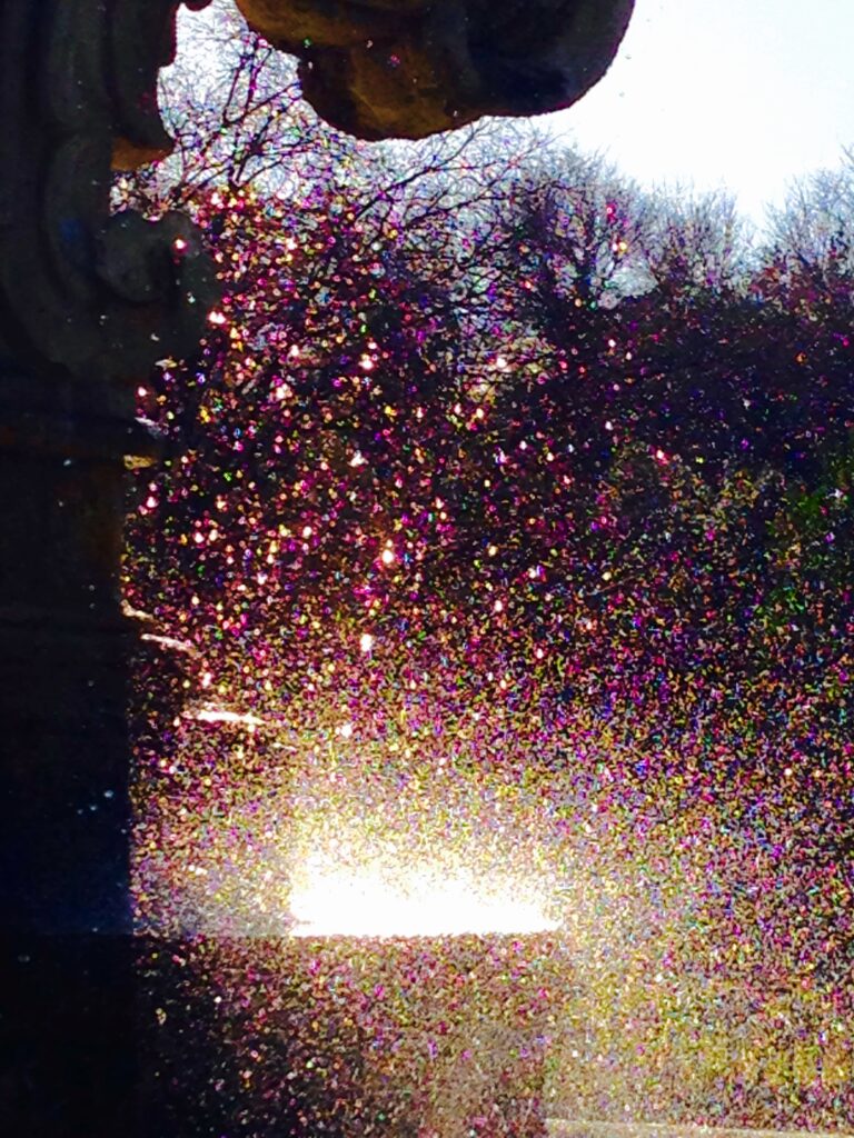 Layne Morgan fine art photography – sparkling sunlight reflections on water droplets