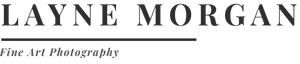 Layne Morgan Fine Art Photography logo – contemporary fine art photographer