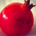 Pomegranate still life photographed by fine art photographer Layne Morgan