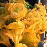 Chanterelle mushrooms still life photographed by fine art photographer Layne Morgan