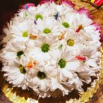 White daisy flowers still life photography by Layne Morgan