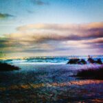 Tropical palm trees overlooking blue ocean coast fine art photography by Layne Morgan