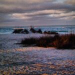 Fine art coastal landscape with shoreline grasses and ocean water at sunset