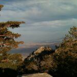 Rocky coastal cliff with trees overlooking water landscape photography by Layne Morgan