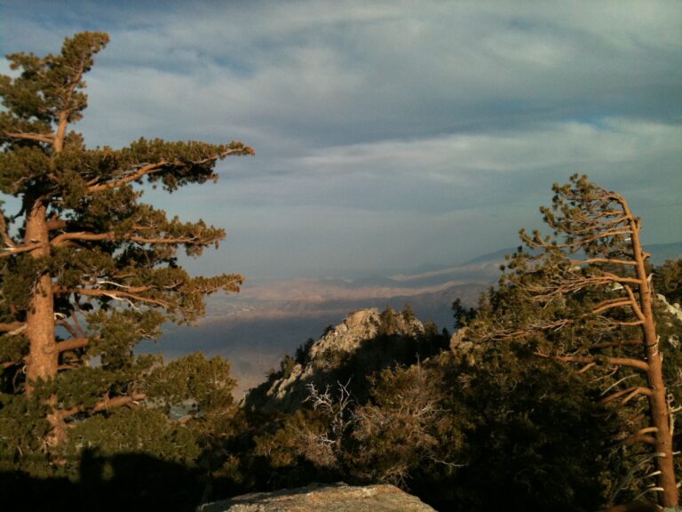 Rocky coastal cliff with trees overlooking water landscape photography by Layne Morgan