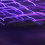 Purple long-exposure light trails forming abstract wave patterns – experimental photography by Layne Morgan