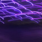 Purple long-exposure light trails forming abstract wave patterns – experimental photography by Layne Morgan
