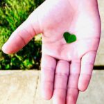 Hand holding green leaf minimalist still life photography by Layne Morgan