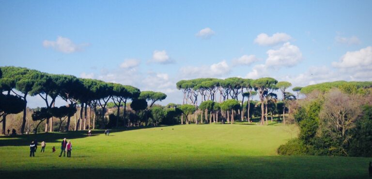 Snow covered mountain landscape under blue sky photography by Layne Morgan