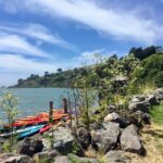 Coastal path with flowers overlooking the sea landscape photography by Layne Morgan