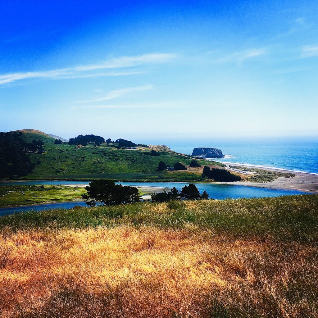 Golden coastal grasses overlooking blue ocean water beneath a clear sky