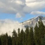 Mountain forest landscape with clouds and alpine trees fine art photography by Layne Morgan