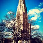 Historic cathedral tower framed by tree branches against blue sky architectural photography by Layne Morgan
