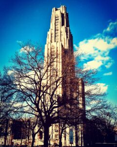 Historic cathedral tower framed by tree branches against blue sky architectural photography by Layne Morgan