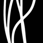 Abstract photograph of flowing white lines on a black background, creating a minimalist fine art composition with clean contrast