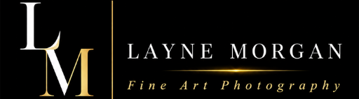 Layne Morgan Photography